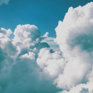 Meet your Posher, Atkinson vasquez